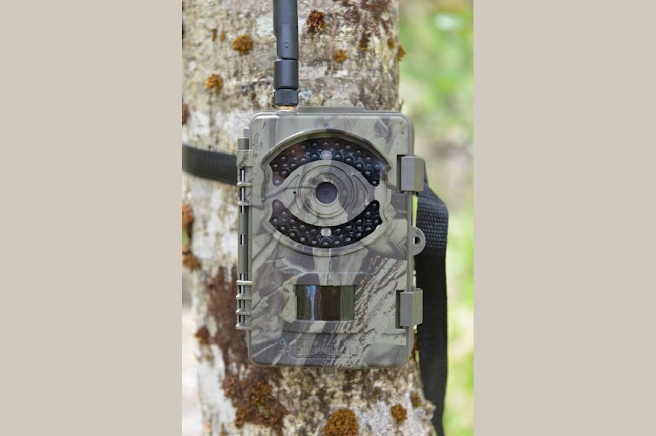 SKARPE OG REALISTISKE BILDER: Bushwhacker Big Eye 3G Bushwhacker Big Eye 3G viltkamera til test i et tre