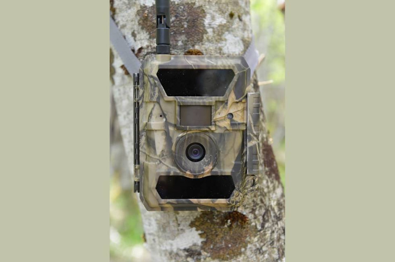 ENKELT OPPSETT: Hunter Premium trail Hunter Premium trail viltkamera til test i et tre