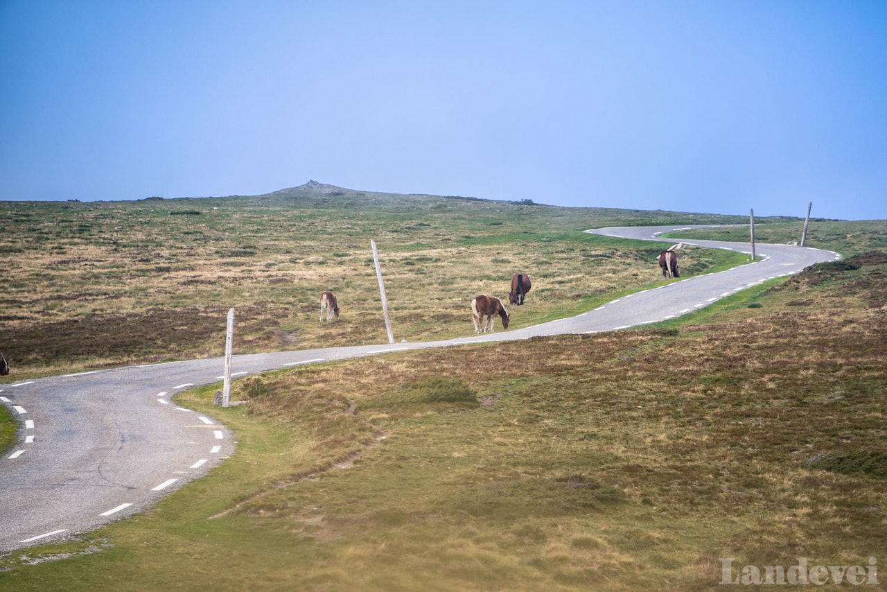FORLATT FJELL: Col de Paillheres er et fjell så øde at hestene går på beite på toppen.  FORLATT FJELL: Col de Paillheres er et fjell så øde at hestene går på beite på toppen.