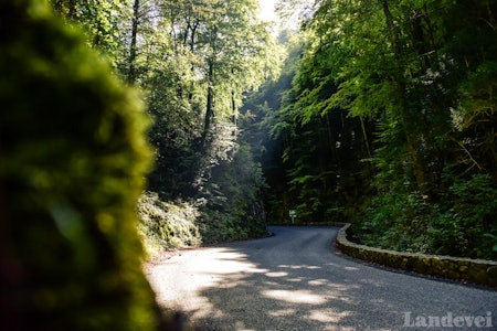 VÅTT: Klatringen og utforkjøringen til Col de Portet de Aspet er der Fabio Casartelli kjørte seg ihjel. Idyllen har glatt og våt asfalt.  VÅTT: Klatringen og utforkjøringen til Col de Portet de Aspet er der Fabio Casartelli kjørte seg ihjel. Idyllen har glatt og våt asfalt.