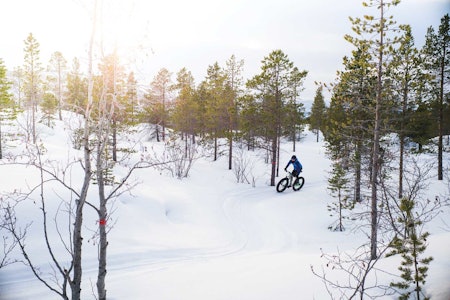 sykling fatbike alta løype 