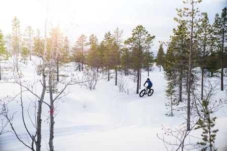 FATBIKE I ALTA: Kristian Jakobsen lener seg inn på fatbiken i en av mange finslepne svinger i Losvarløypa i Alta sykling fatbike alta løype