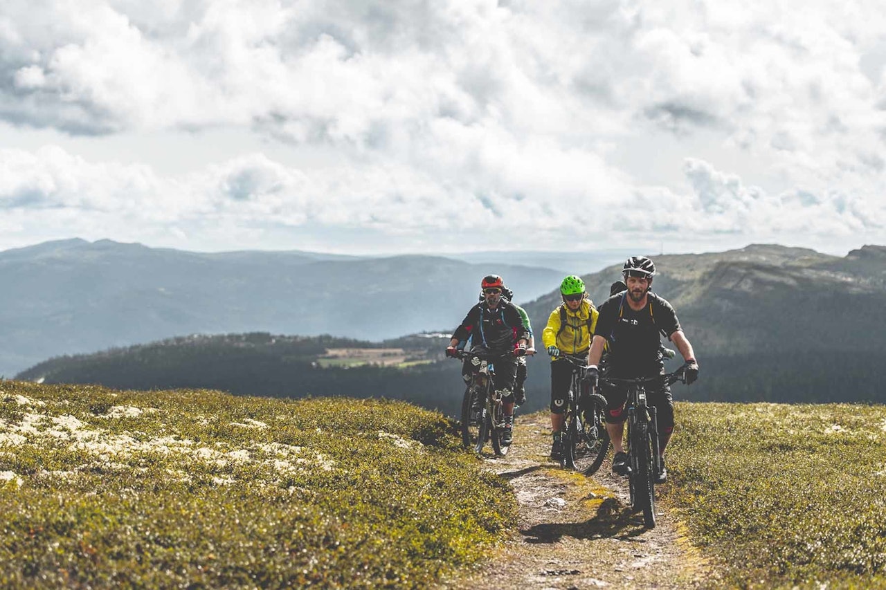 DET BLIR SYKKELFESTIVAL: Sykkelviku i Ringebu går med noen justeringer som planlagt i 2020. Foto: Movement Media sykkelviku ringebu 2020 sykkelfestival stisykling
