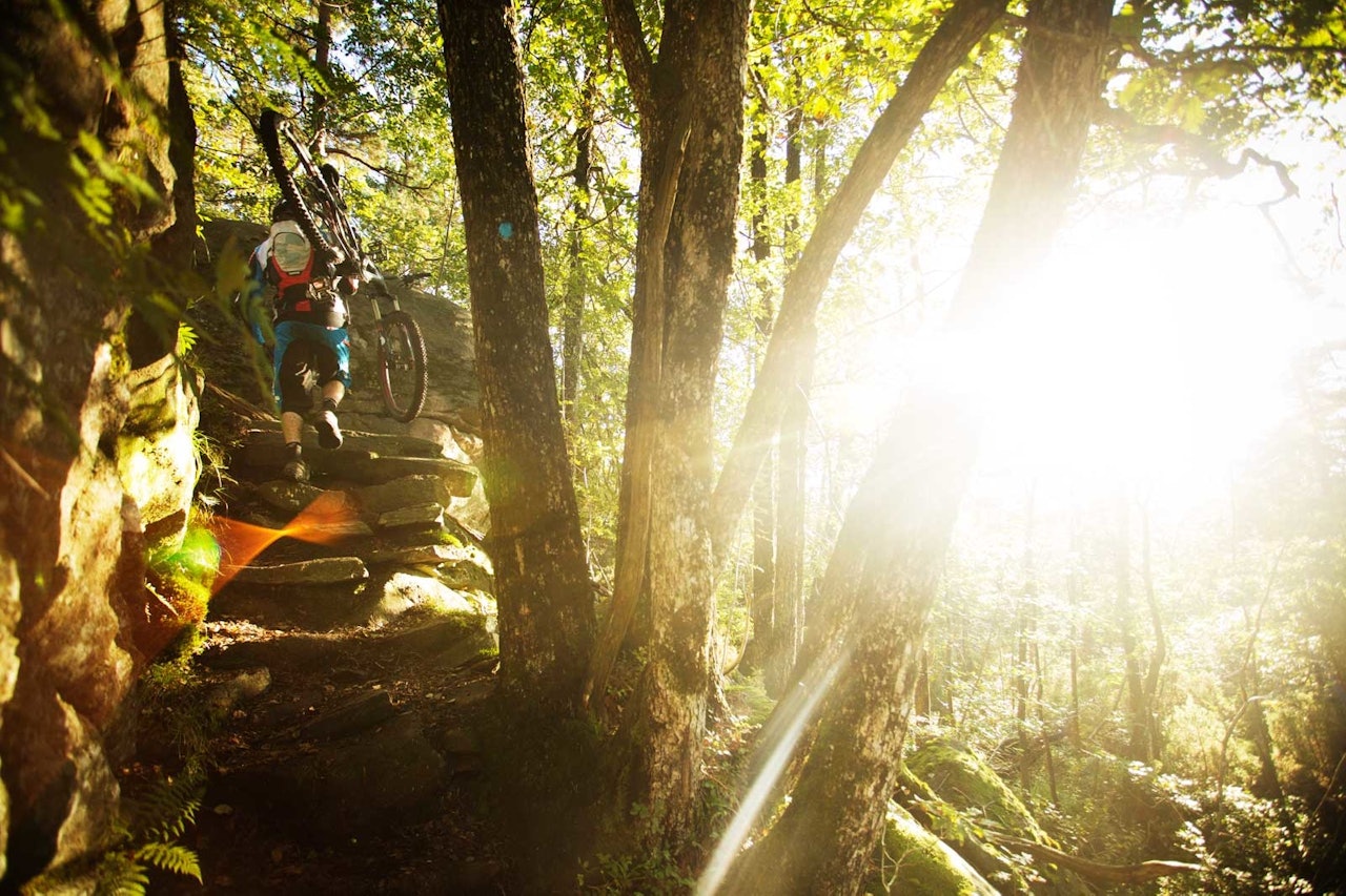 Stiene i Bymarka utenfor Kristiansand krysser gamle ferdselsårer hvor trapper er anlagt i bratte helninger. / Stisykling i Norge. stisykling i norge, stisykling i kristiansand, tveit skisenter, kristiansand sykkelpark