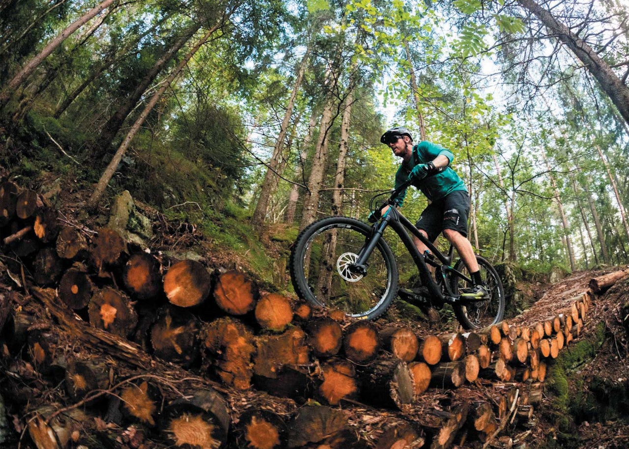 STISYKLING I KRAGERØ: Størrelsen tatt i betraktning, er det et imponerende stinettverk på den lille øya Tåtøy som ligger klemt inne mellom Stabbestad og Kragerø sentrum. stisykling kragerø tips ferie sommer sykling