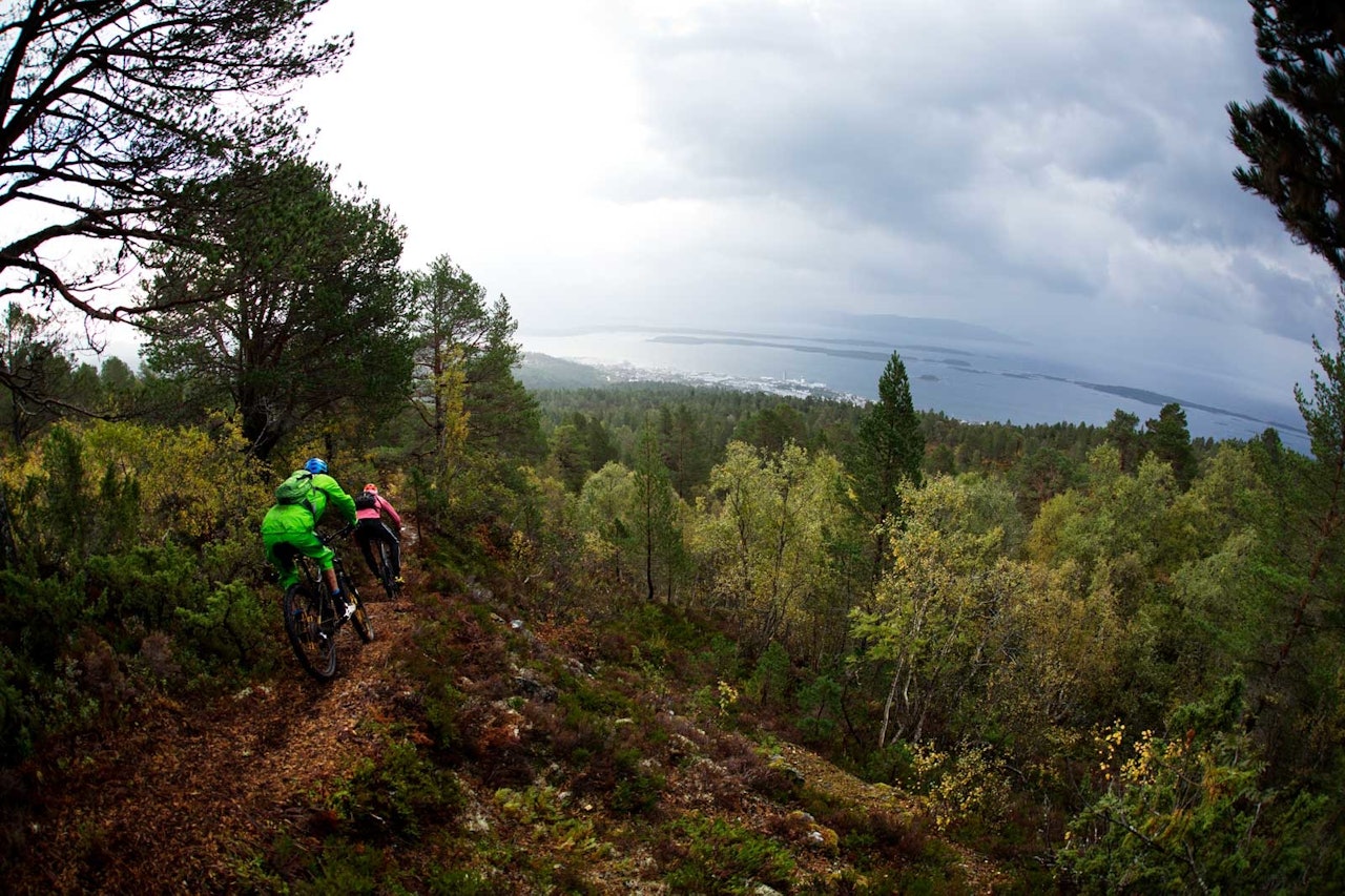 I skogene over Rosenes by skjuler det seg fine stier. Magnus Espeland og Knut Festervoll vet hvor de beste stiene er å finne. / Stisykling i Norge. stisykling i romsdalen, stisykling i norge, trollveggen,