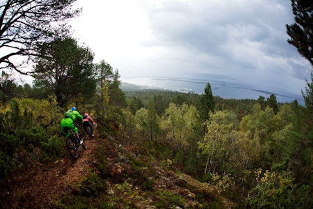 I skogene over Rosenes by skjuler det seg fine stier. Magnus Espeland og Knut Festervoll vet hvor de beste stiene er å finne. / Stisykling i Norge. stisykling i romsdalen, stisykling i norge, trollveggen,