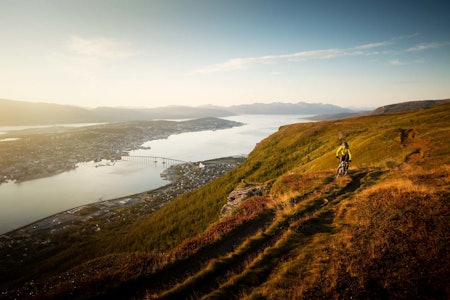 Stien fra fjellheisen over Tromsø traverserer bortover fjellet før man slipper seg ned mot byen. / Stisykling i Norge. stisykling i tromsø, stisykling i nord-norge, stisykling i norge