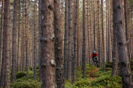 Ny fritidssysel: Knut Myking flyttet til Sogndal for skikjøringa. Nå har pudderplankene fått selskap av en stisykkel i boden.  Ny fritidssysel: Knut Myking flyttet til Sogndal for skikjøringa. Nå har pudderplankene fått selskap av en stisykkel i boden.