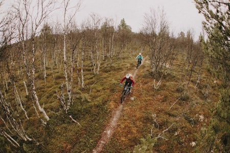 FLYTSTI: Stiene rundt Røros er helt fantastiske for terrengsykling. Foto: Kristoffer H. Kippernes stisykling røros tips sykkeltur turtips