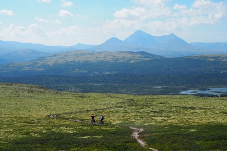 FLYT: I Alvdal finner du fin fjellflyt og teknisk sykling. Alle turene avluttes med afterbike i sentrum hvor du kan skravle med andre entusiaster langt inn i de små timer. Foto: Livestock Livestock sykkelfilmfestival i Alvdal