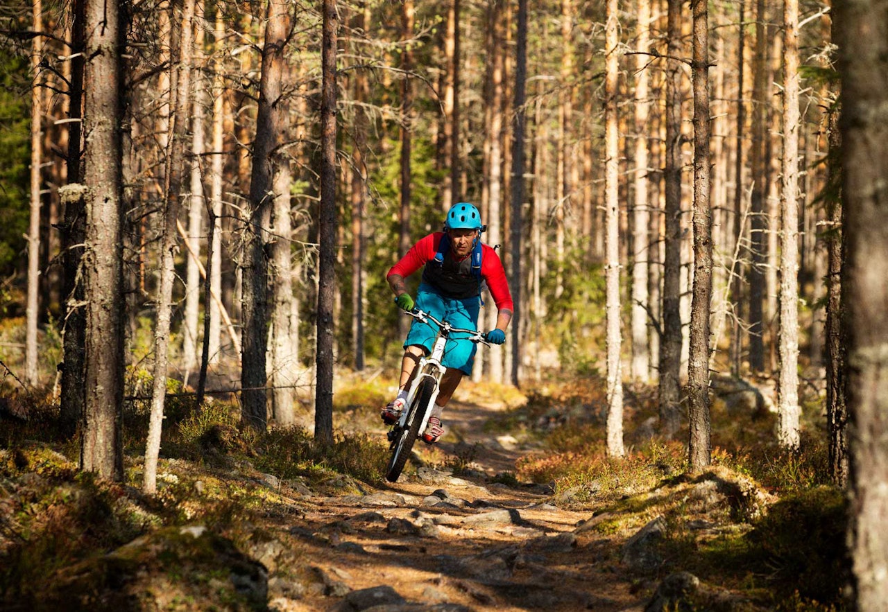 ELVERUM: Jon Andre Haugen er en av ildsjelene i stisyklingsmiljøet i Elverum. Her gir han gass på innbydende stier øst for sentrum. Foto: Kristoffer Kippernes / Stisykling i Norge. stisykling i elverum, stisykling i norge