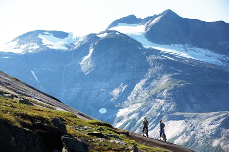 Noen dager og turer handler like mye om den totale opplevelsen, som selve syklingen. En tur over Reinnesfjellet i sola er en slik tur. / Stisykling i Norge.