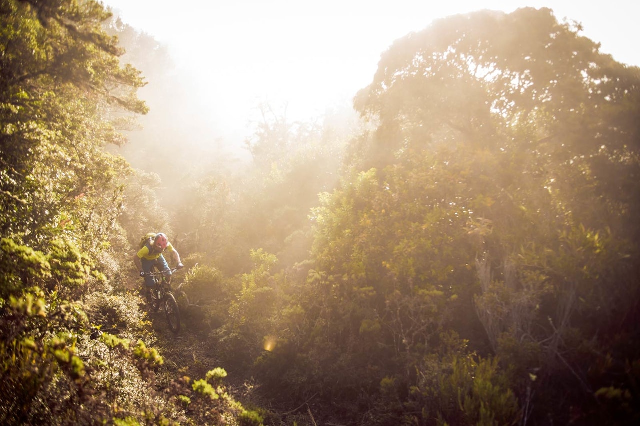 JUNGELMORGEN: Holger Meyer klarer til topps i morgentåka. Foto: Sebastian Doerk stisykling costa rica
