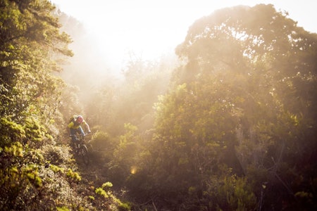 JUNGELMORGEN: Holger Meyer klarer til topps i morgentåka. Foto: Sebastian Doerk stisykling costa rica