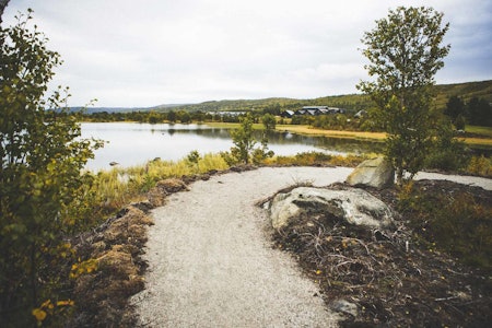 FINE STIER: Stiene fra Vestlia Resort og langs Ustedalsfjorden er fine for terrengsyklister på alle ferdighetsnivåer. Foto: Kristoffer H. Kippernes stisykling geilo tips terrengsykling