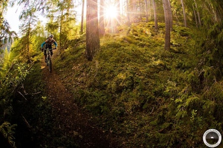 SYKLING I HALLINGDAL: Hallingdal skal bli best i Skandinavia på stisykling. Fra før har de et bredt tilbud med stier for stisyklister. Nå skal de bygge mer for utforsyklistene også. Foto: Thomas Svendsen stisykling på Geilo, heisbasert sykling, downhillsykling på geilo