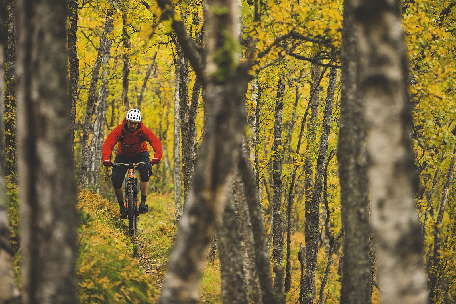 stisykling hemsedal terrengsykling sykling 