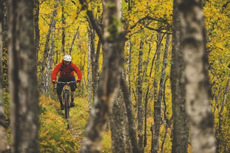 stisykling hemsedal terrengsykling sykling 