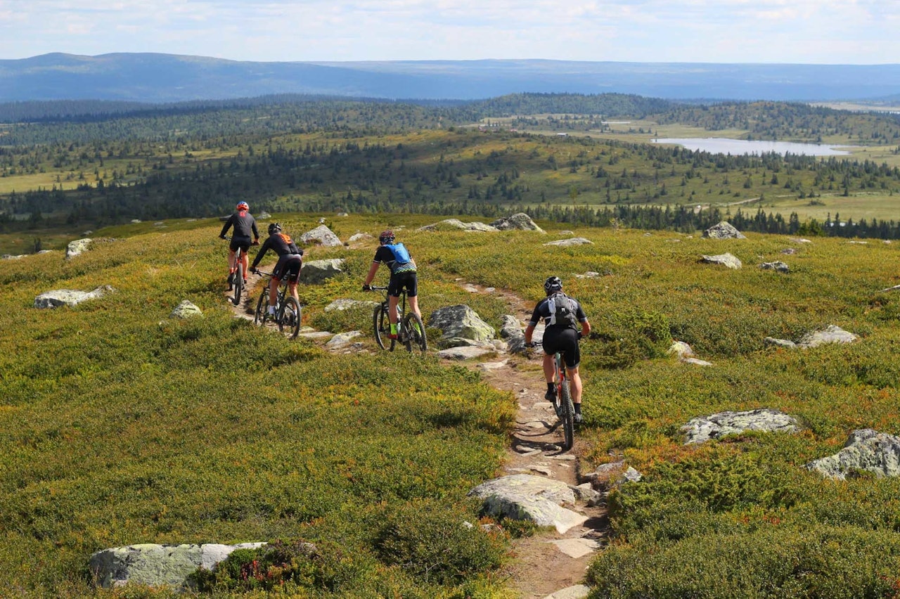 TUR MED UTSIKT: Området rundt Hafjell byr på mye fin stisykling - også med utsikt. Foto: Øyvind Wold. stisykling hafjell pellestova øyerfjellet guide tips tur gps