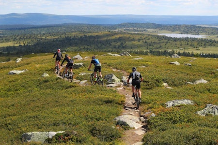 TUR MED UTSIKT: Området rundt Hafjell byr på mye fin stisykling - også med utsikt. Foto: Øyvind Wold. stisykling hafjell pellestova øyerfjellet guide tips tur gps