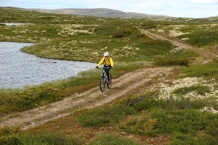 TURTERRENG: Landskapet i Øyerfjellet har mange fine turmuligheter for stisykling. Foto: Øyvind Wold stisykling øyerfjellet hafjell