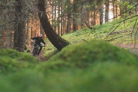 TROLLSKOG: Trondheim er slett ikke det verste stedet å være som stisyklist. Det vet Henrik Ulleland (bildet) å sette pris på når han besøker.  stisykling trondheim