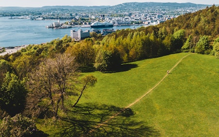OSLOMARKA: Oslo er omgitt av skog i øst, vest og nord. Tar med Ekeberg som en del av Østmarka, så er det utvilsomt den mest sentrumsnære marka vi har. Bilde: Christian Nerdrum