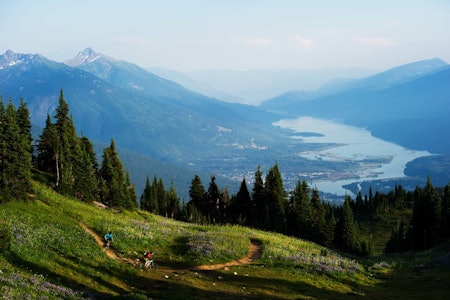 Stier under snøen: Revelstoke er en av de mest snøsikre skidestinasjonene i Nord-Amerika, og har blitt en av de mest interessante sykkeldestinasjonene i British Columbia. De lokale syklistene Sam Poarch og Bruno Long nyter stien Frisby Ridge Trail i Revelstoke, en nydelig sommerkveld.  stisykling canada british columbia