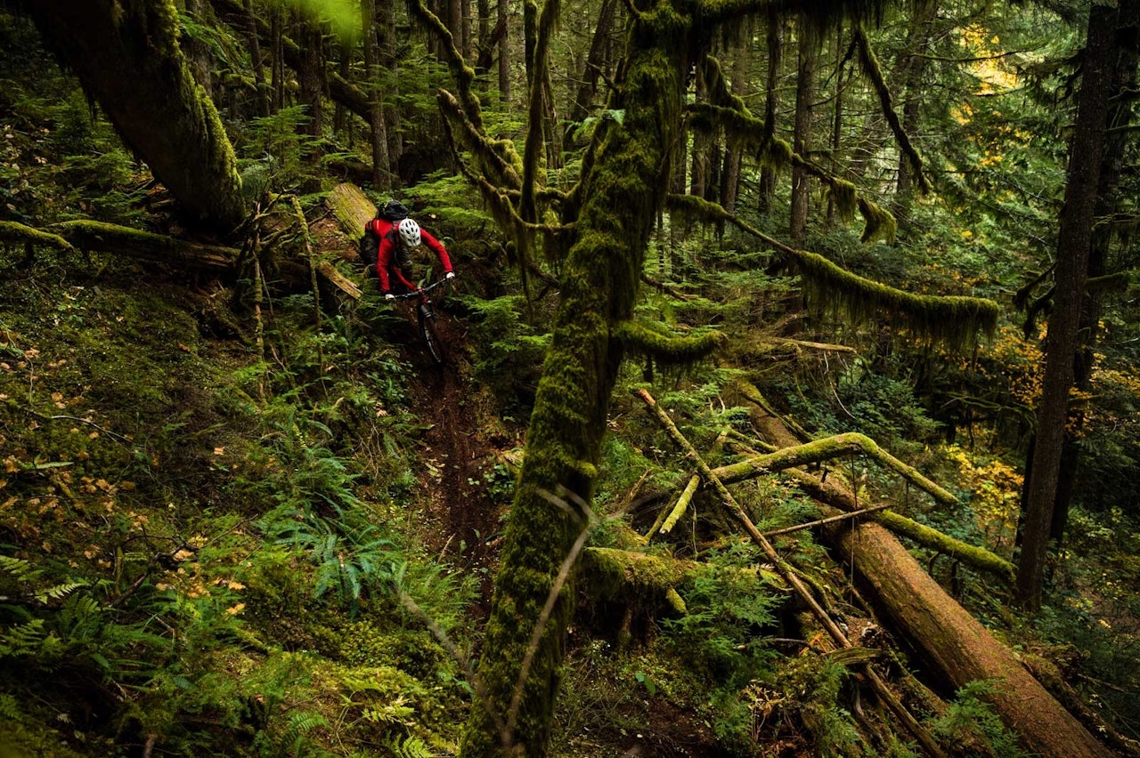 TYPISK SQUAMISH: Brett Tippie fanget i Squamish´ frodige regnskog på stien Treasure Trail i området Garibaldi Highlands. stisykling squamish