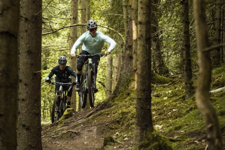 Foto: Swede Shreds swede shreds stisykling småland sverige