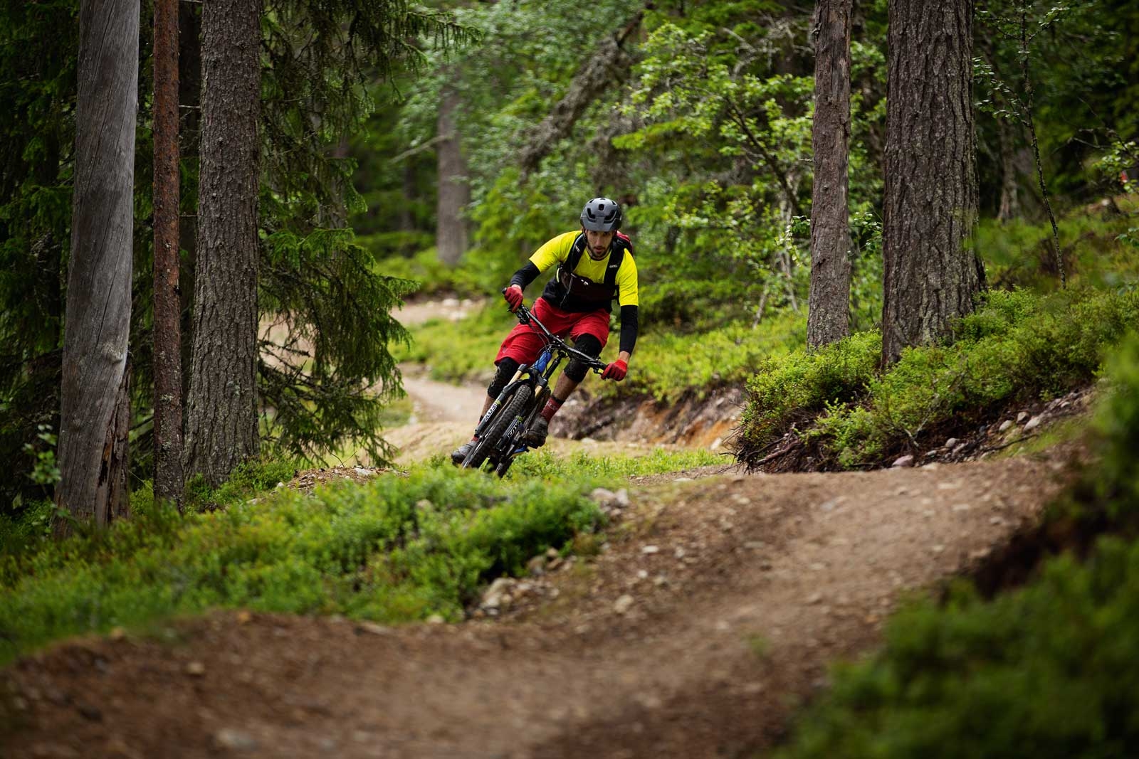TILRETTELAGT : I Dalarna er det brukt både gravemaskin og skilt for å tilrettelegge stiene for sykling.Thomas Brynjulf Svendsen nyter duvende svinger i skogen.