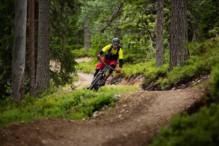 TILRETTELAGT : I Dalarna er det brukt både gravemaskin og skilt for å tilrettelegge stiene for sykling.Thomas Brynjulf Svendsen nyter duvende svinger i skogen. TILRETTELAGT : I Dalarna er det brukt både gravemaskin og skilt for å tilrettelegge stiene for sykling.Thomas Brynjulf Svendsen nyter duvende svinger i skogen.