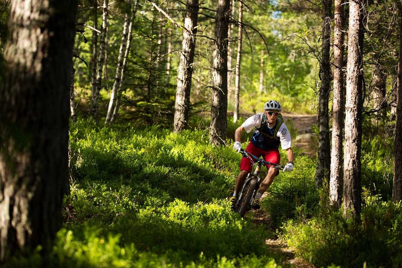 DRAMMEN: Gaute Reitan nyter flytstier av ypperste klasse i åssidene vest for Drammen Skisenter. Foto: Kristoffer Kippernes / Stisykling i Norge. DRAMMEN: Gaute Reitan nyter flytstier av ypperste klasse i åssidene vest for Drammen Skisenter. Foto: Kristoffer Kippernes / Stisykling i Norge.