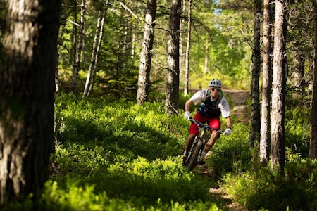 DRAMMEN: Gaute Reitan nyter flytstier av ypperste klasse i åssidene vest for Drammen Skisenter. Foto: Kristoffer Kippernes / Stisykling i Norge.