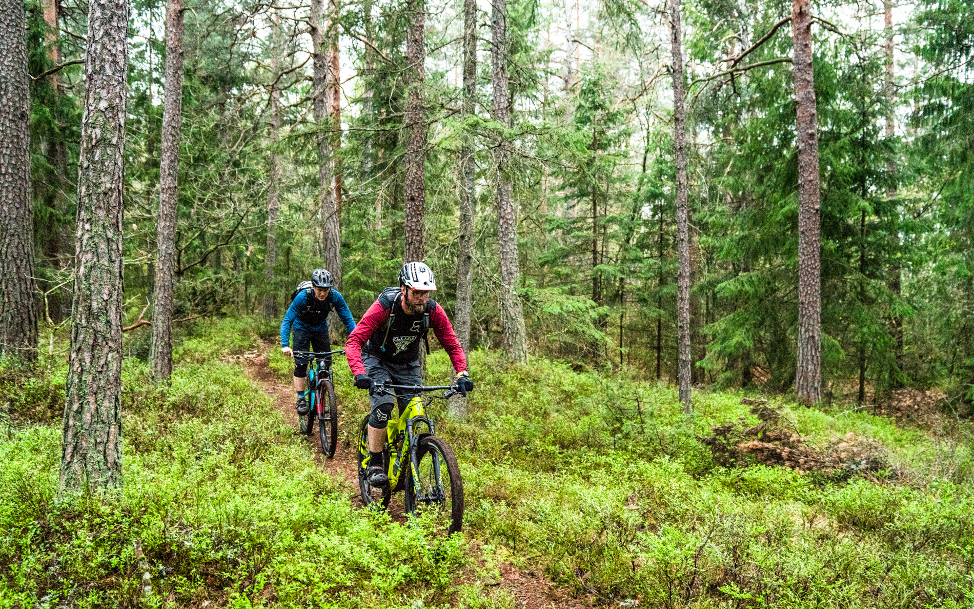 stisykling nøtterøy tips guide