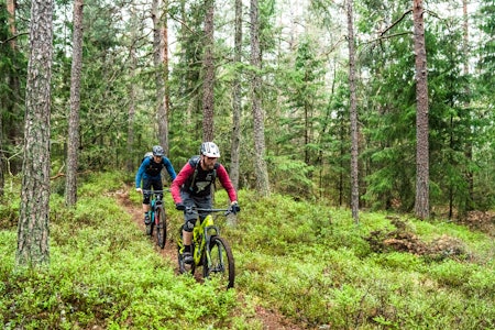 STISYKLING PÅ NØTTERØY: Stipatruljen dro til Nøtterøy for kickstarte sykkelsesongen. Foto: Magnus Furset stisykling nøtterøy tips guide