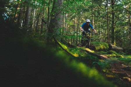 SKOGENS KONGE: Truls Ekelund kjenner stiene på Nøtterøy bedre enn de fleste. Foto: Kristoffer H. Kippernes stisykling nøtterøy flytsti