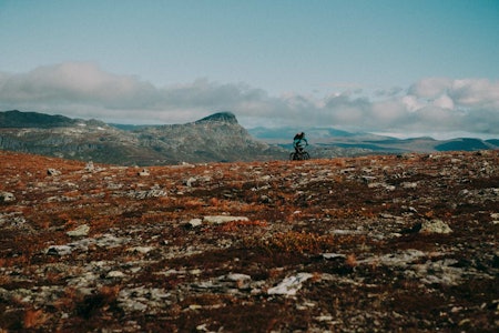 SYKLING PÅ BEITOSTØLEN: Med Bitihorn i bakgrunnen setter Kasper Madsen retning over Slettefjell og en lang utforkjøring som venter. stisykling beitostølen