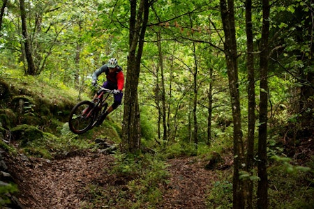 Stien er bygget på en slik måte at man enten kan rulle over kuler - eller får luft under hjulene slik Steinar Ytrehus helst gjør. / Stisykling i Norge. Stien er bygget på en slik måte at man enten kan rulle over kuler - eller får luft under hjulene slik Steinar Ytrehus helst gjør. / Stisykling i Norge.