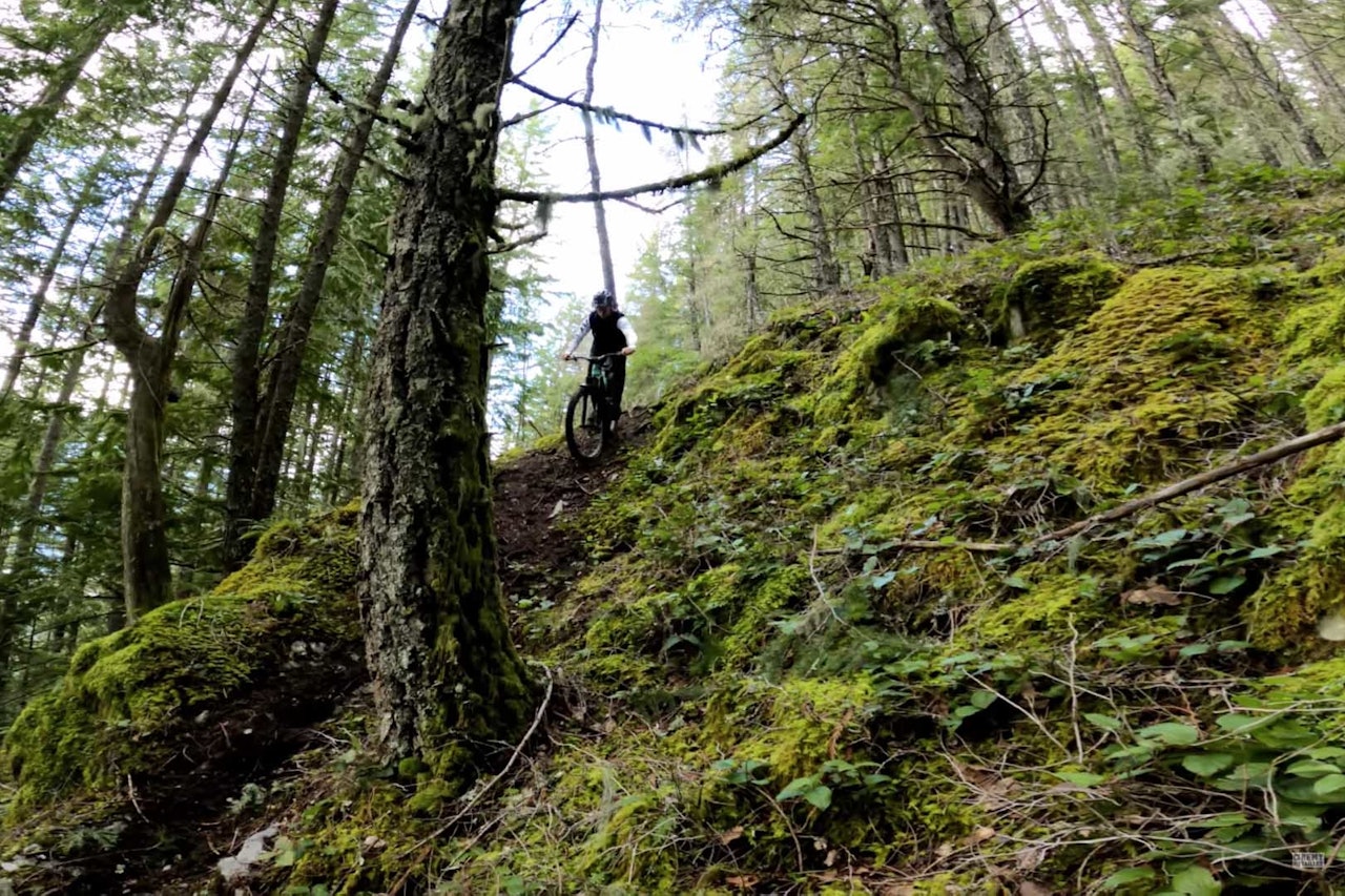STUPBRATT: Remy Metallier trakterer sykkelen ned en av Squamish´ bratteste stier. Foto: Skjermdump remy metallier squamish sykling stisykling
