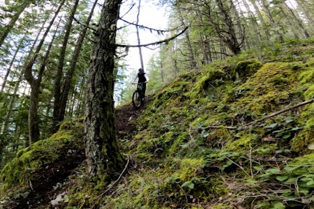 STUPBRATT: Remy Metallier trakterer sykkelen ned en av Squamish´ bratteste stier. Foto: Skjermdump remy metallier squamish sykling stisykling