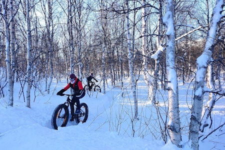 GEILO: På Geilo var det strålende forhold for helgas jentetur. Foto: Nina Gässler Geilo fatbike Nina Gässler