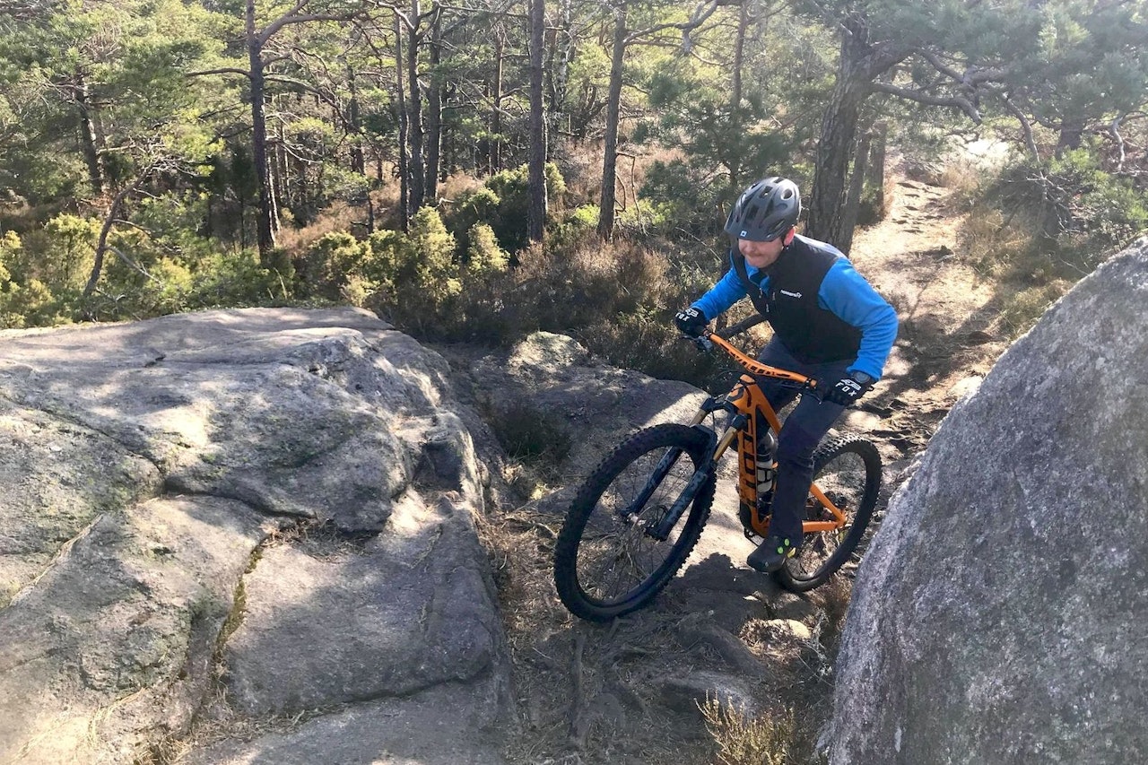 VÅRLIG: Frode på tur i Bymarka i Kristiansand lørdag. Foto: Hilde Sangesland Strædet Frode på tur i Bymarka i Kristiansand