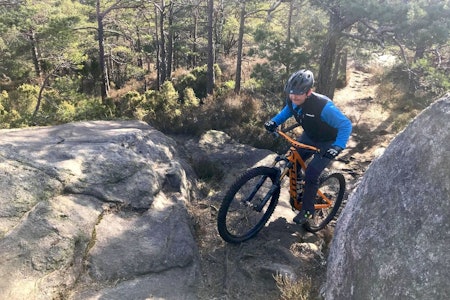 VÅRLIG: Frode på tur i Bymarka i Kristiansand lørdag. Foto: Hilde Sangesland Strædet Frode på tur i Bymarka i Kristiansand