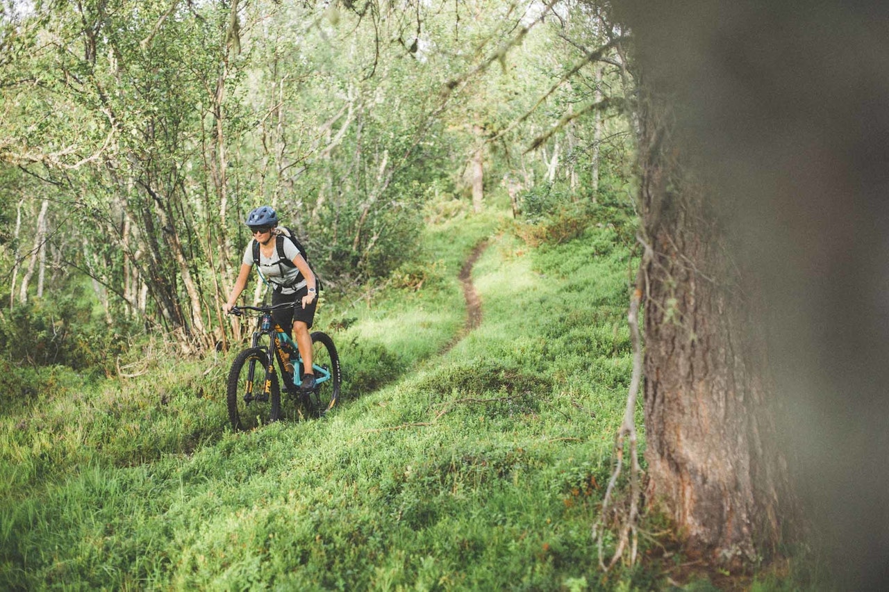 OPPDAL SYKKELFESTIVAL: Det legges opp til stisykling på Oppdal i august. Bilde fra en tur under fjorårets festival. Foto: Kristoffer H. Kippernes oppdal sykkelfestival