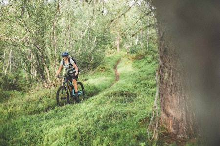 OPPDAL SYKKELFESTIVAL: Det legges opp til stisykling på Oppdal i august. Bilde fra en tur under fjorårets festival. Foto: Kristoffer H. Kippernes oppdal sykkelfestival