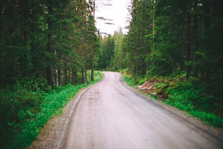 NYE VEIER: Nei, vi snakker ikke om offentlig forvaltning, vi snakker om de uendelige mulighetene til å sykle i fred og ro unna trafikk og sinte bilister. Bukkestyresykler til grus har for lengst kommet for å bli. Foto: Kristoffer H. Kippernes kommentar gravel grussykkel
