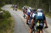 SYKLE RULLE I BIRKEN: Det kan kanskje virke litt skummelt, men har du tenkt å sykle raskt over fjellet er dette måten å gjøre det på. Foto: Kristoffer H. Kippernes felt rulle birken