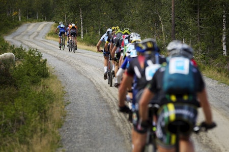 SYKLE RULLE I BIRKEN: Det kan kanskje virke litt skummelt, men har du tenkt å sykle raskt over fjellet er dette måten å gjøre det på. Foto: Kristoffer H. Kippernes felt rulle birken